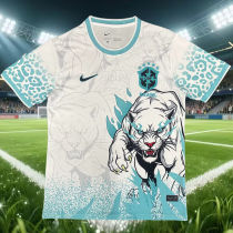 2026/27 Brazil Special Edition Fans Soccer Jersey
