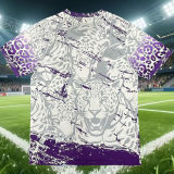 2026/27 Brazil Special Edition Fans Soccer Jersey