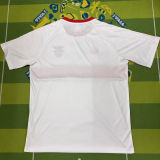 2026/27 Benfica Retro style Fans Soccer Jersey