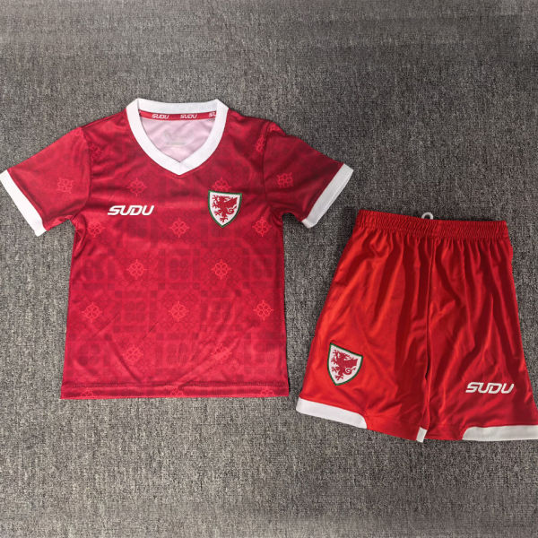 2027/28 Wales Home Red Kids Soccer Jersey
