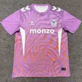 2026/27 Coventry City Third Fans Soccer Jersey