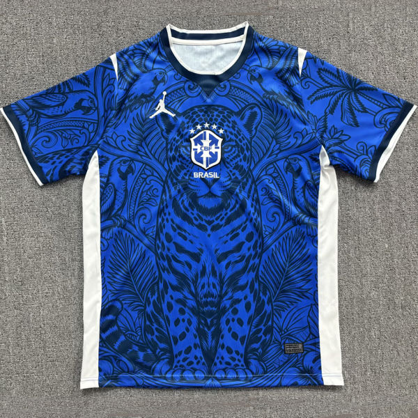 2026/27 Brazil Special Edition Fans Soccer Jersey