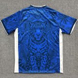 2026/27 Brazil Special Edition Fans Soccer Jersey