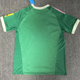 2026/27 Newcastle Goalkeeperd Green Fans Soccer Jersey