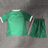 2026/27 Newcastle Goalkeeperd Green  Kids Soccer Jersey
