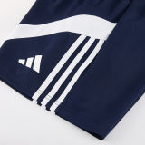 2026/27 AD Royal Blue Training Jersey (A Set) AD17