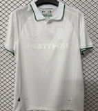 2026/27 Werder Bremen 100th Anniversary Edition Fans Soccer Jersey