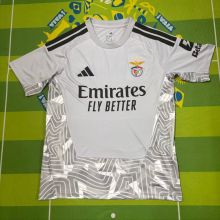 2026/27 Benfica GK Grey Fans Soccer Jersey