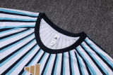 2026/27 Argentina White Blue Training Jersey  (A Set)