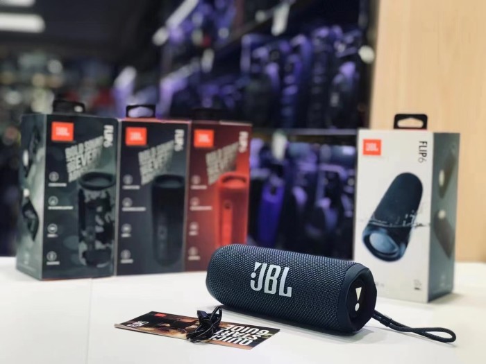 JBL flip6