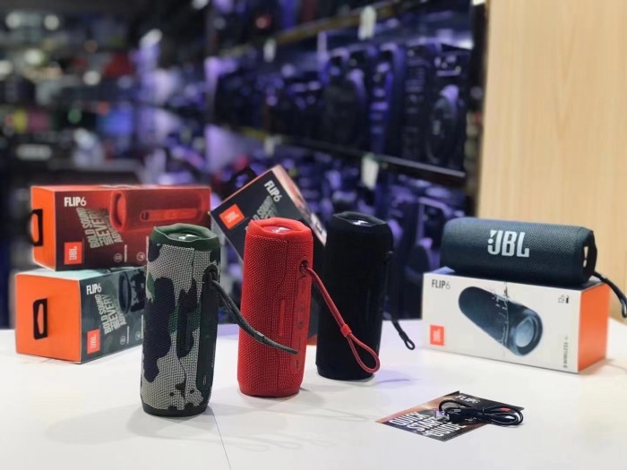 JBL flip6