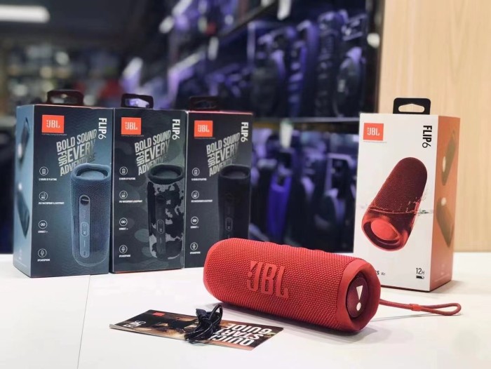 JBL flip6