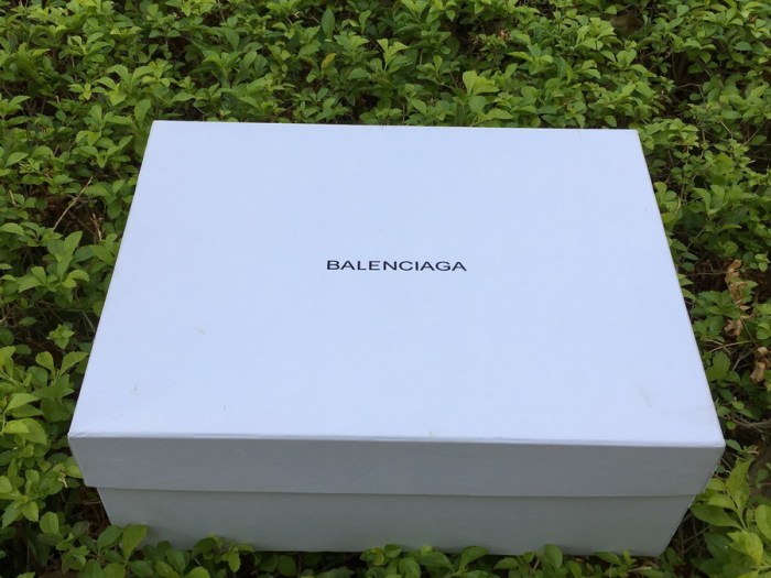 Balenciaga Triple S Beige（7-12 work day deliver）