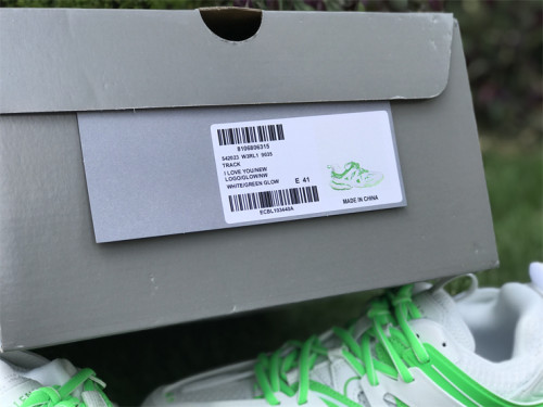Balenciaga 3.0 white and green（7-12 work day deliver）