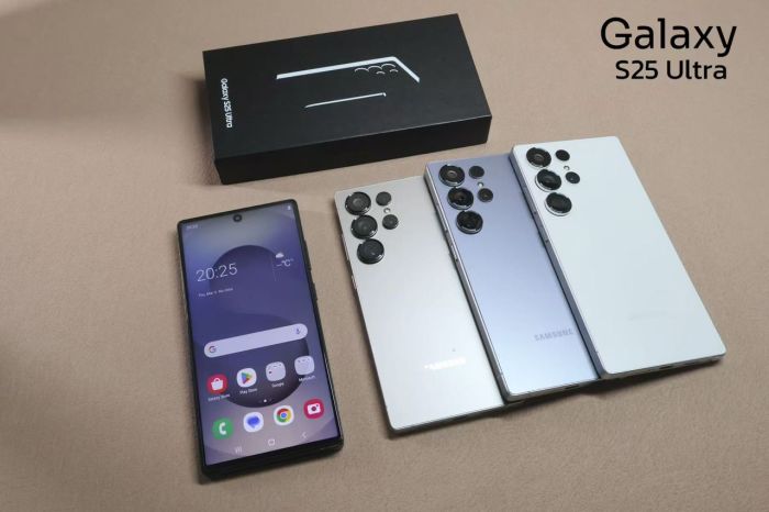 Samsung S25U