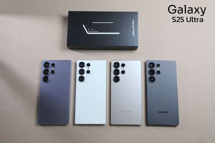 Samsung S25U
