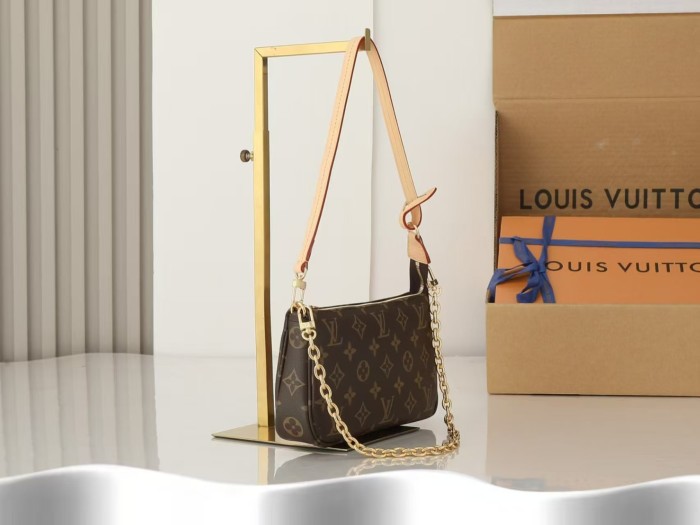 Q15：Louis Vuitton Multi Pochette Accessoires(Without box and chain)