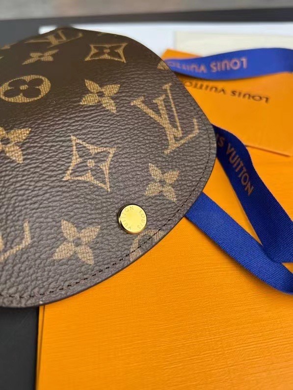 Q21：Louis Vuitton Victorine Wallet