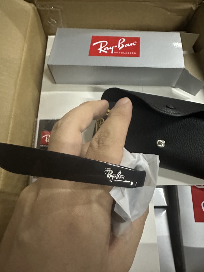 G11：Ray-Ban Wayfarer Sunglasses