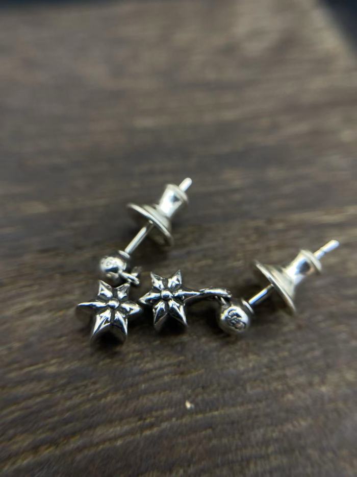 Five types of earrings